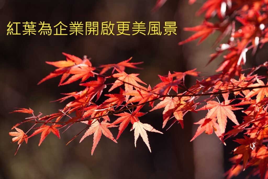 紅葉外勞輸入